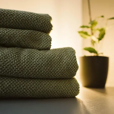 Soulfactory Budget *